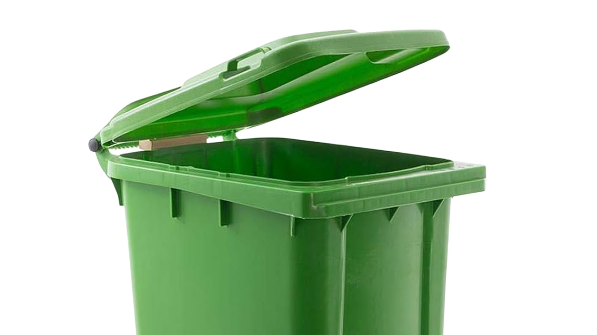 Green Organics Bin with open lid